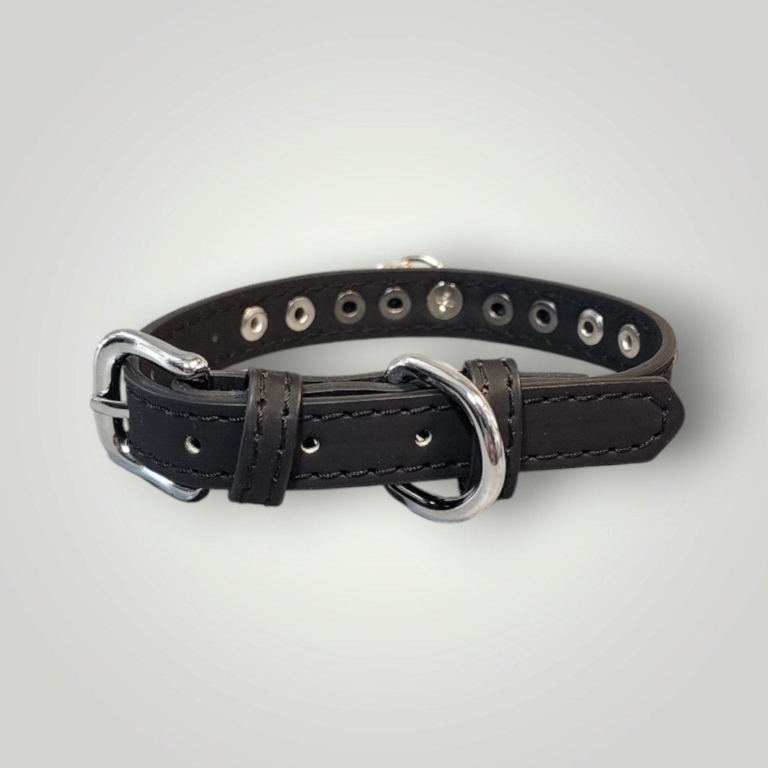 Matching Bracelet and CAT COLLAR!